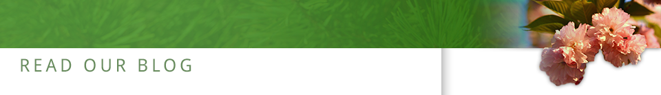 Read Our Blogs Read Our Blogs