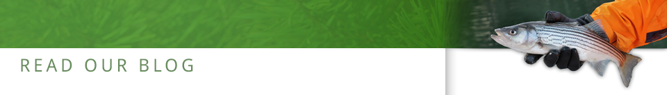 Read Our Blogs Read Our Blogs