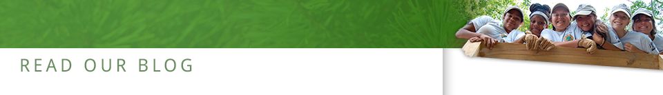 Read Our Blogs Read Our Blogs