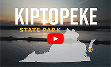 Kiptopeke 州立公园的 YouTube 视频