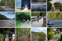 新河步道州立公园的闪烁照片