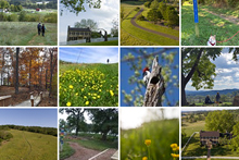 天空草甸州立公园的闪烁照片