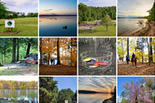 斯汤顿河州立公园的闪烁照片