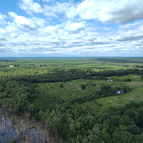 福克兰国家保护区