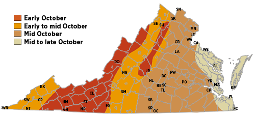 秋季色彩预测图