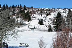 格雷森高地州立公园