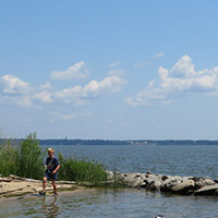 利西尔瓦尼亚州立公园