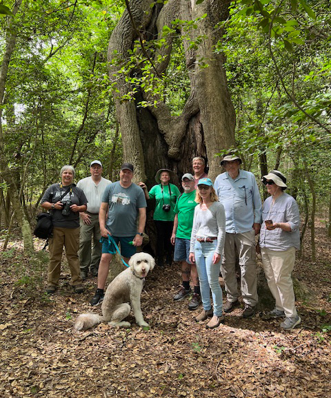 BARK ambassador Percy