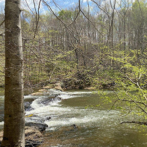 未来的梅奥河州立公园