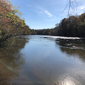 未来的梅奥河州立公园