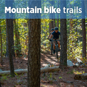 山地自行车超级按钮