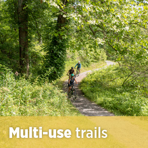 多用途自行车超级按钮