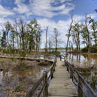 在梅森内克州立公园徒步旅行