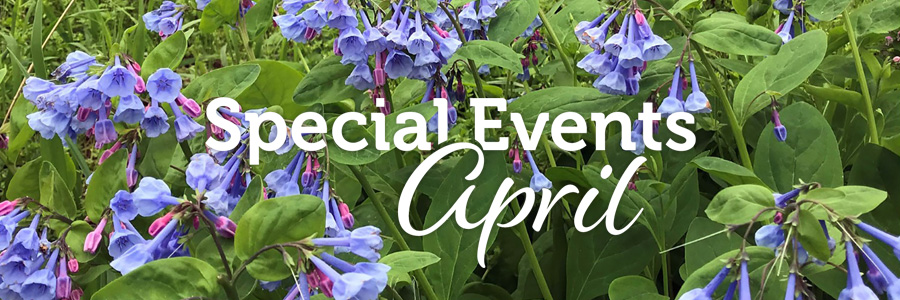 四月发生的事件