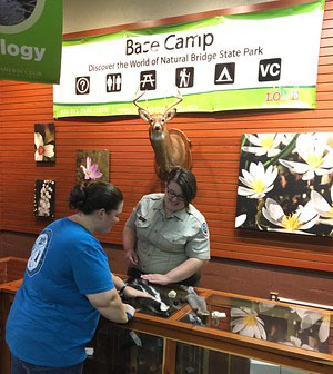 大本营环境自然中心