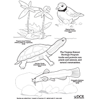 自然遗产着色页