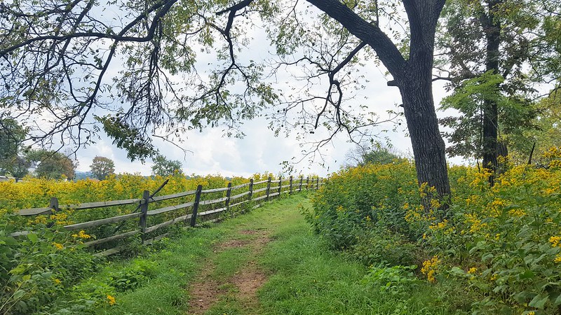 Hike the Appalachian TrailÂ at Sky Meadows State Park