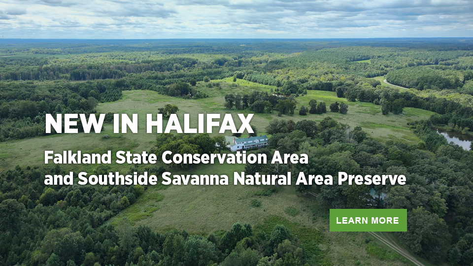 福克兰国家保护区