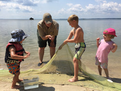 孩子们使用围网。