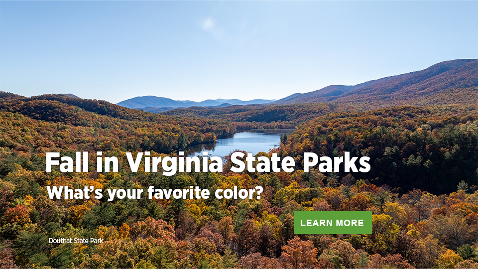 弗吉尼亚州立公园的秋天