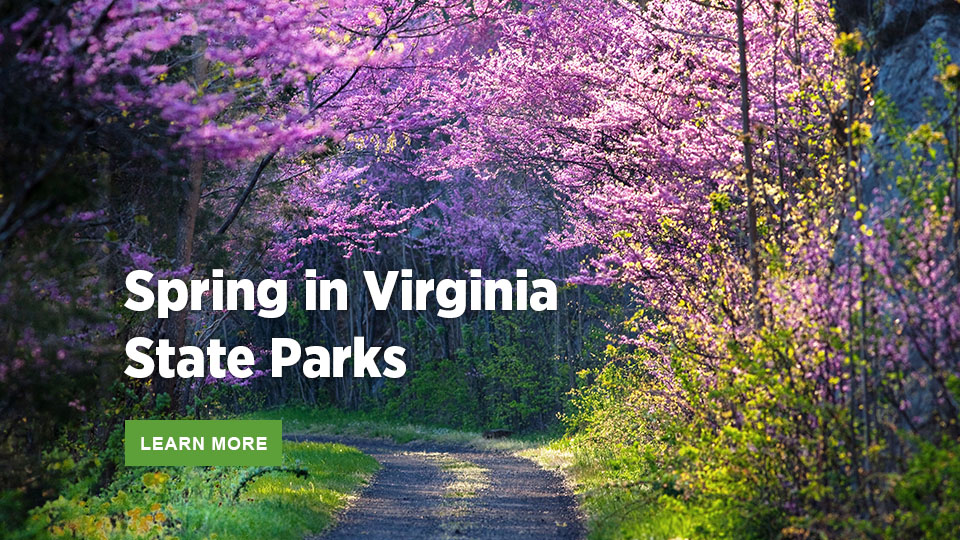 弗吉尼亚州立公园的春天