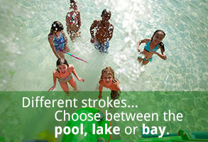 游泳 - 所有公园 游泳 - 所有公园