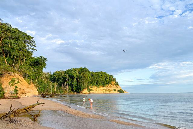 Beachcombing at Westmoreland State Park. Photo Christen McKey