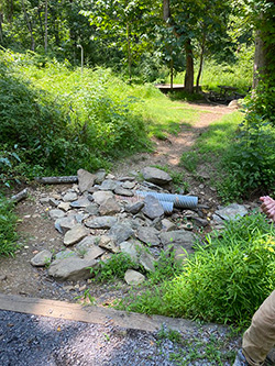 在 YCC 工作人员在 Sky Meadows 州立公园进行工作之前穿越溪流